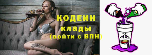 амф Арсеньев