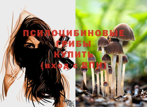 амф Арсеньев