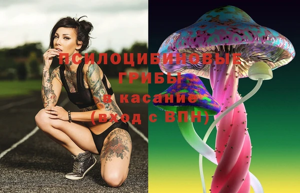 амф Арсеньев