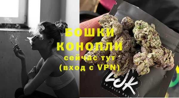 МДПВ Рославль