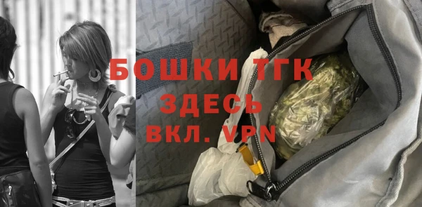 индика Россошь