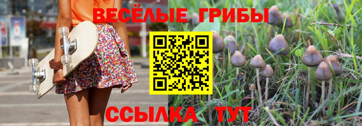 Псилоцибиновые грибы Cubensis  наркота  Ахтубинск  Вход с VPN 