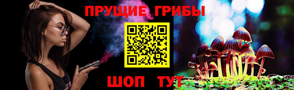 Псилоцибиновые грибы ЛСД Ахтубинск